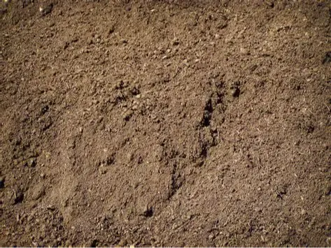 Screened Topsoil (General Blend) - Quality Landscaping Supplies Levin